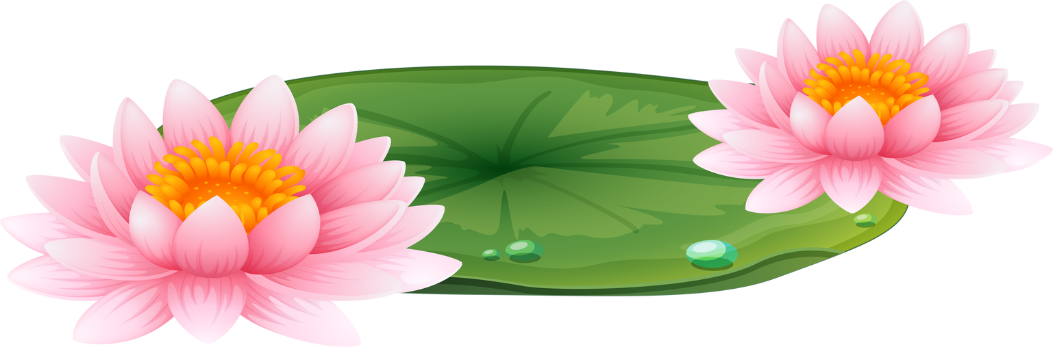 Water Lilies Illustration 